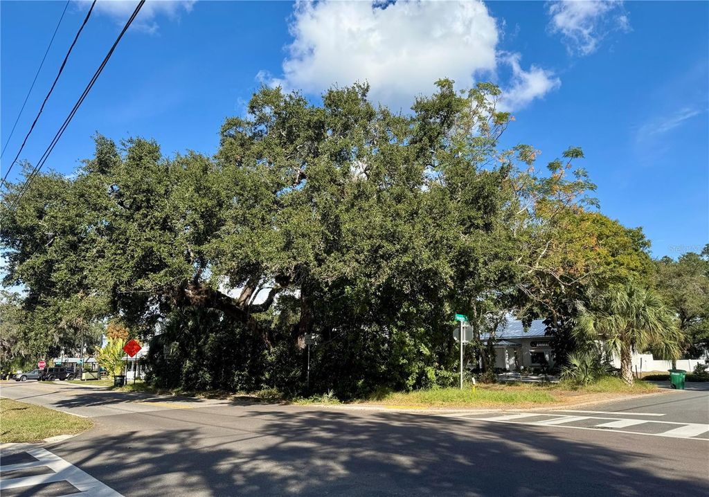 DELAWARE STREET, Safety Harbor, FL 34695