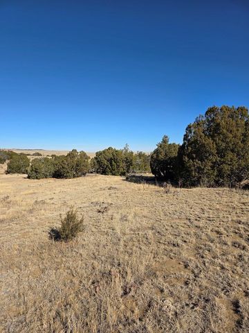 TBD Salida Dr, Walsenburg, CO 81089