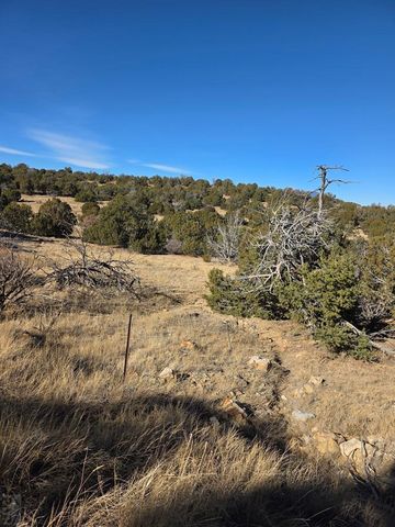 TBD Salida Dr, Walsenburg, CO 81089