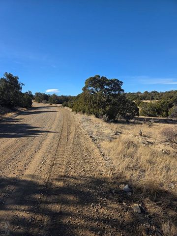 TBD Salida Dr, Walsenburg, CO 81089