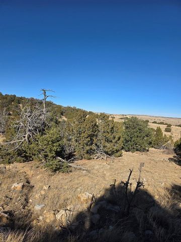 TBD Salida Dr, Walsenburg, CO 81089