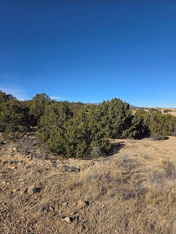 TBD Salida Dr, Walsenburg, CO 81089