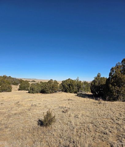 TBD Salida Dr, Walsenburg, CO 81089