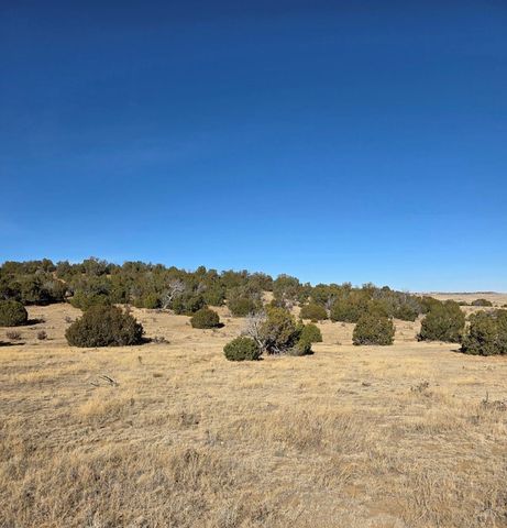 TBD Salida Dr, Walsenburg, CO 81089