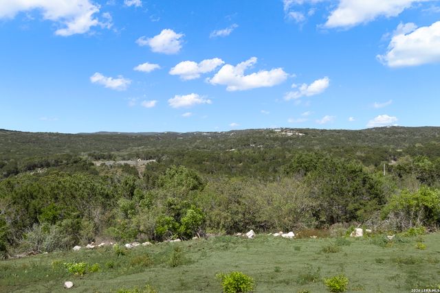 1585 PR 2771, Mico, TX 78056