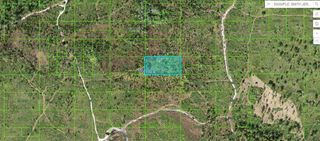 TIGER LAKE RD, Lake Wales, FL 33898