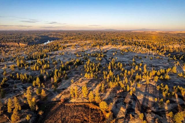 TBD Williams Lake Rd, Cheney, WA 99004