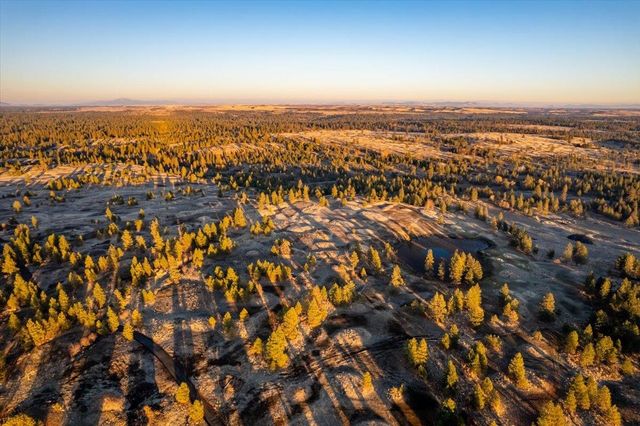 TBD Williams Lake Rd, Cheney, WA 99004