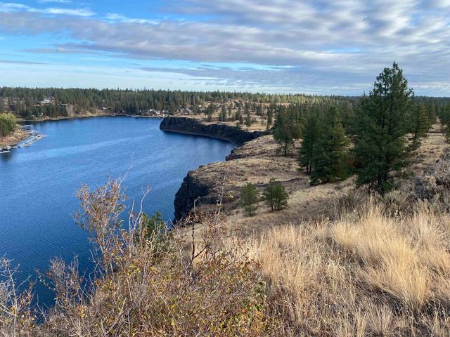 TBD Williams Lake Rd, Cheney, WA 99004