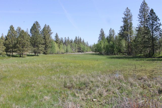 TBD Williams Lake Rd, Cheney, WA 99004