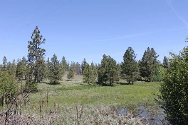 TBD Williams Lake Rd, Cheney, WA 99004
