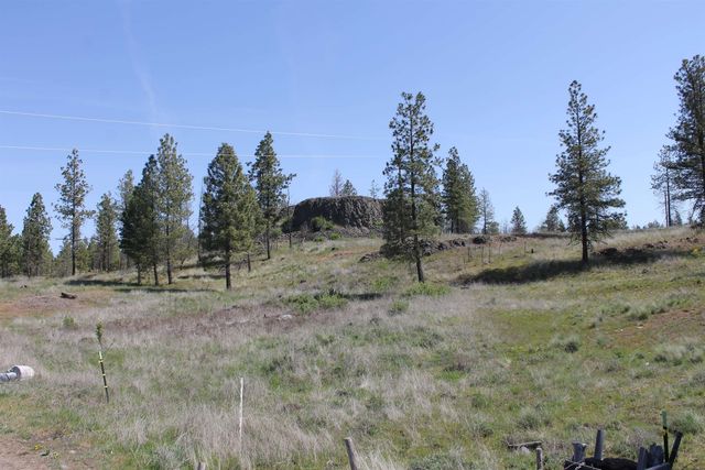 TBD Williams Lake Rd, Cheney, WA 99004