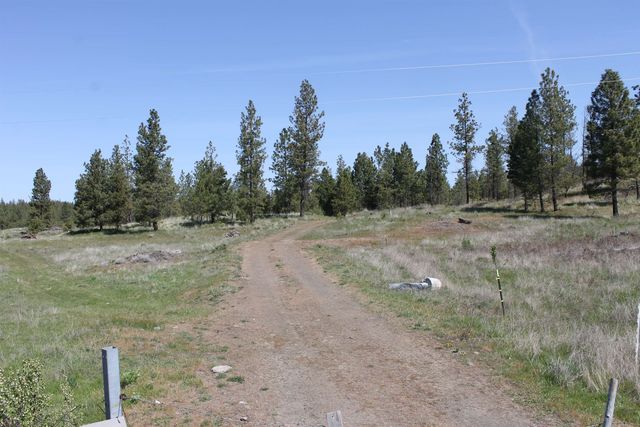 TBD Williams Lake Rd, Cheney, WA 99004