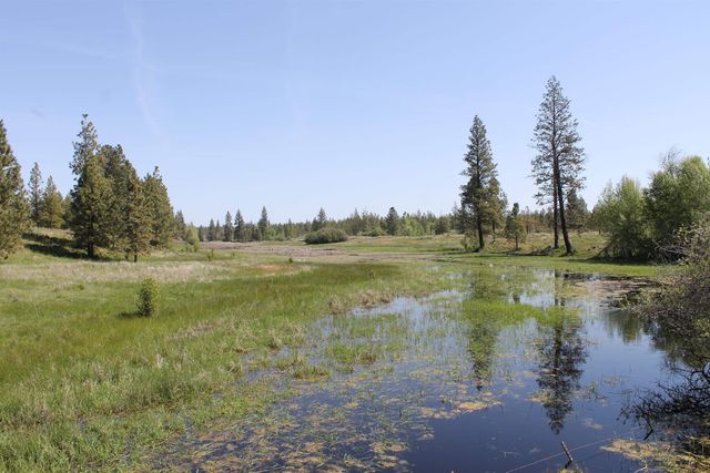 TBD Williams Lake Rd, Cheney, WA 99004