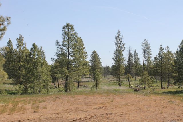 TBD Williams Lake Rd, Cheney, WA 99004