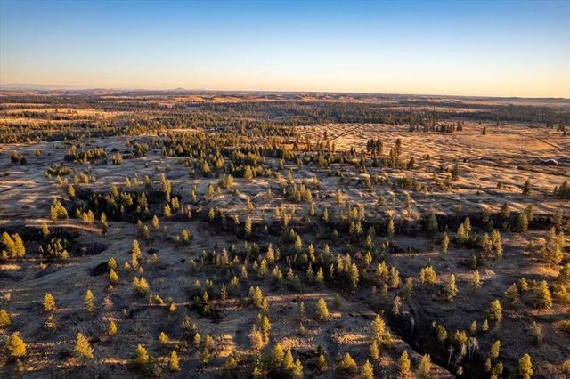 TBD Williams Lake Rd, Cheney, WA 99004