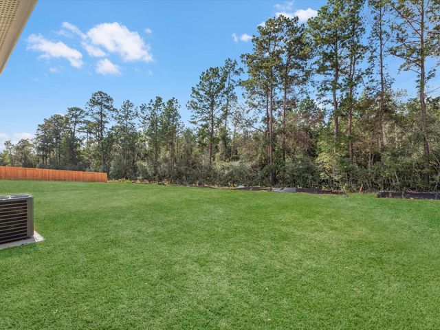 14659 New Village Drive, Willis, TX 77378