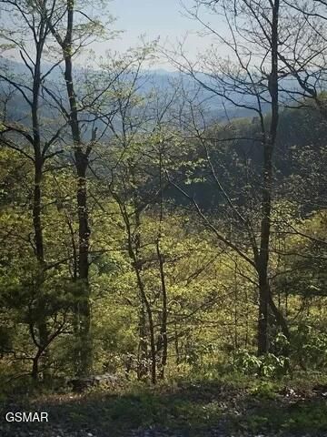 18 Red Maple Lane, Sevierville, TN 37876