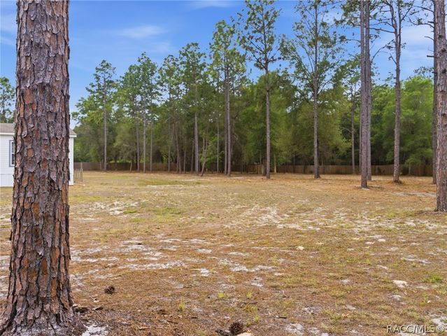 9900 W Pinespring Court, Crystal River, FL 34428