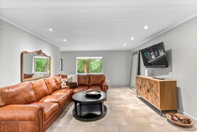 592 Brook Drive, Idaho Springs, CO 80452