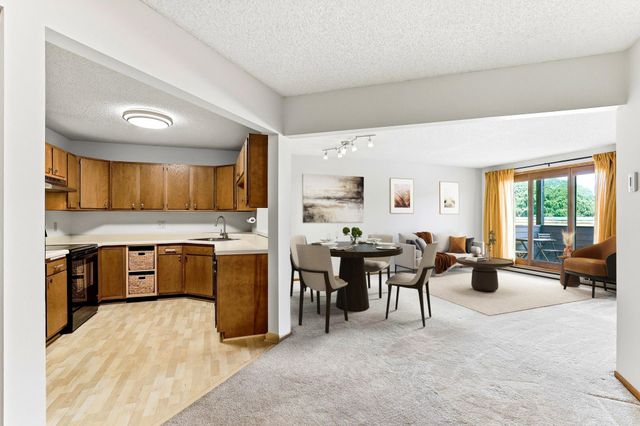 2425 E Franklin Avenue 303, Minneapolis, MN 55406