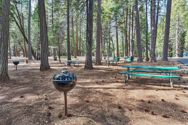 3986 Garnet Rd, Pollock Pines, CA 95726