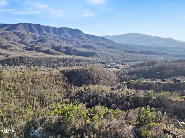 939 Vixen Run, Gatlinburg, TN 37738