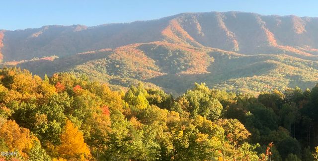 939 Vixen Run, Gatlinburg, TN 37738