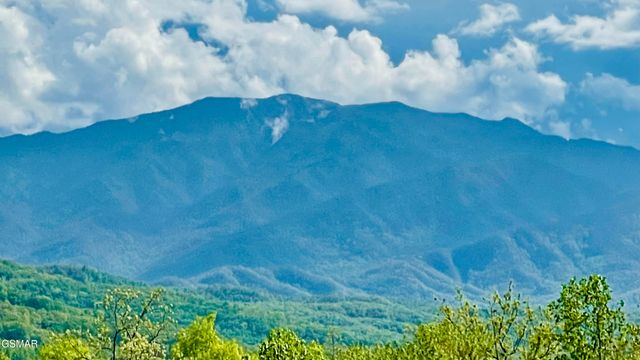 939 Vixen Run, Gatlinburg, TN 37738