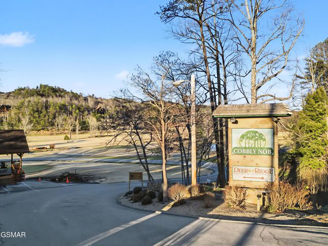 939 Vixen Run, Gatlinburg, TN 37738