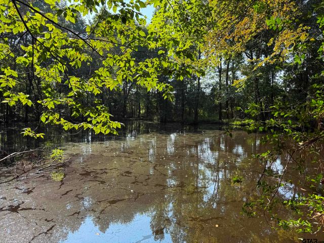 590 An County Road 169, Elkhart, TX 75839