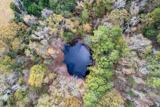 590 An County Road 169, Elkhart, TX 75839