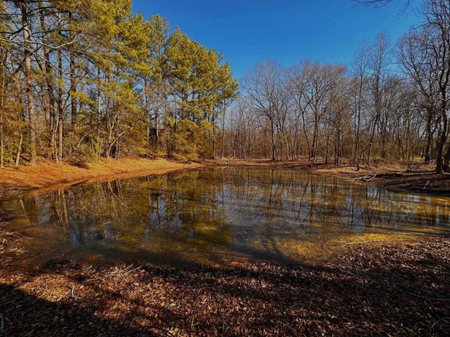 590 An County Road 169, Elkhart, TX 75839