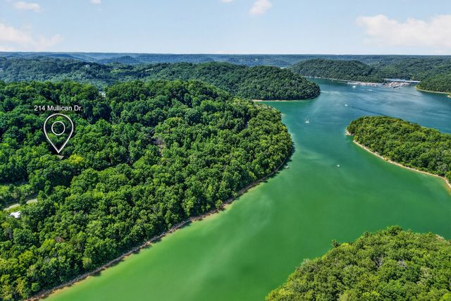 214 Mullican Dr, Smithville, TN 37166