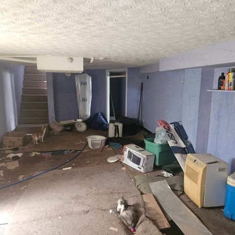 1124 Delaware Ave, Knoxville, TN 37921