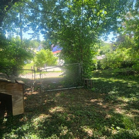1124 Delaware Ave, Knoxville, TN 37921