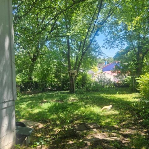 1124 Delaware Ave, Knoxville, TN 37921