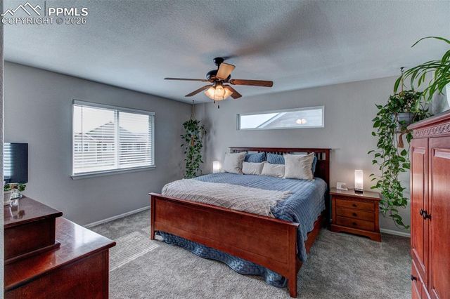 4613 Whirling Oak Way, Colorado Springs, CO 80911