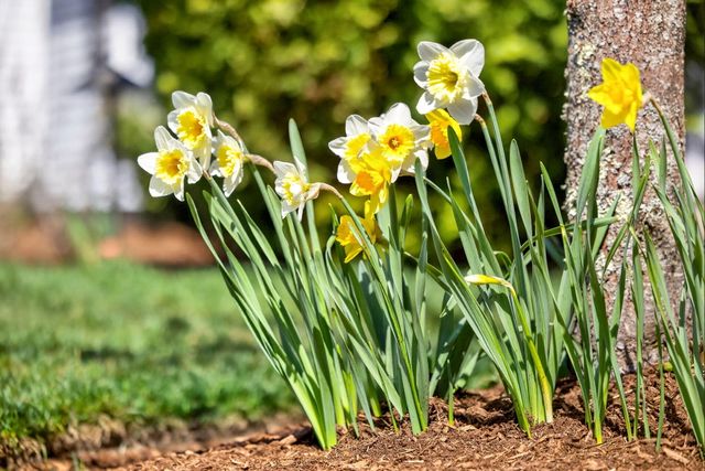 102 Waterford Drive, Cotuit, MA 02635