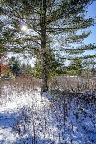 W4703 28th Street, Necedah, WI 54646