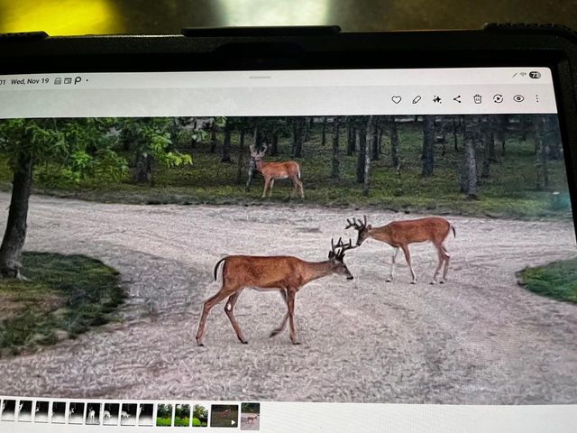 W4703 28th Street, Necedah, WI 54646