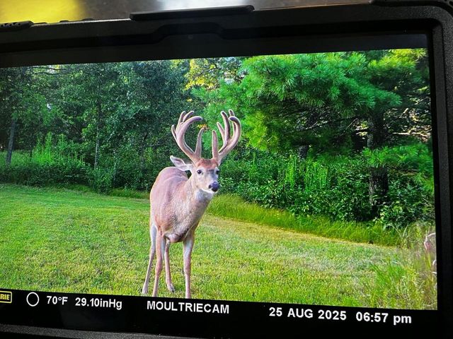 W4703 28th Street, Necedah, WI 54646