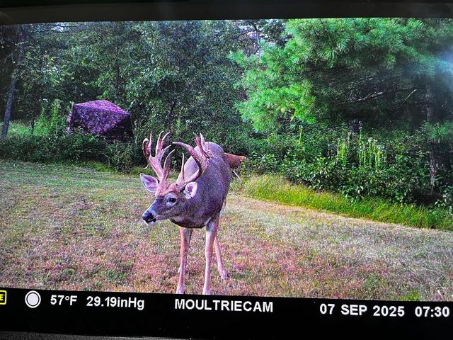 W4703 28th Street, Necedah, WI 54646