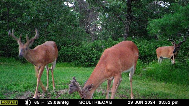 W4703 28th Street, Necedah, WI 54646