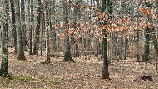 417 Beverly Drive, Benton, AR 72019