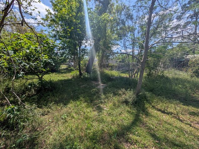 19970 Live Oak Burr Drive, Porter, TX 77365