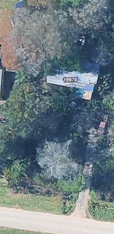 19970 Live Oak Burr Drive, Porter, TX 77365