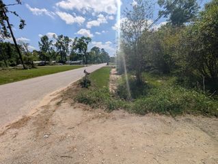 19970 Live Oak Burr Drive, Porter, TX 77365