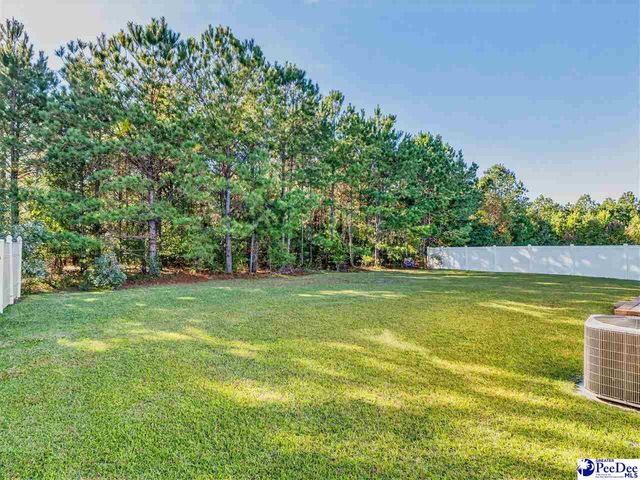 2121 waverly woods, Florence, SC 29501