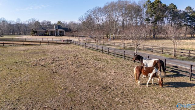 9.4 Acres Old Highway 431, Owens Cross Roads, AL 35763